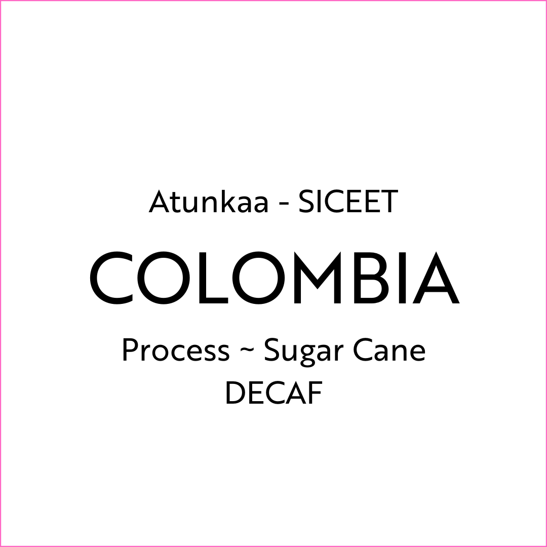 Atunkaa - SICEET - DECAF