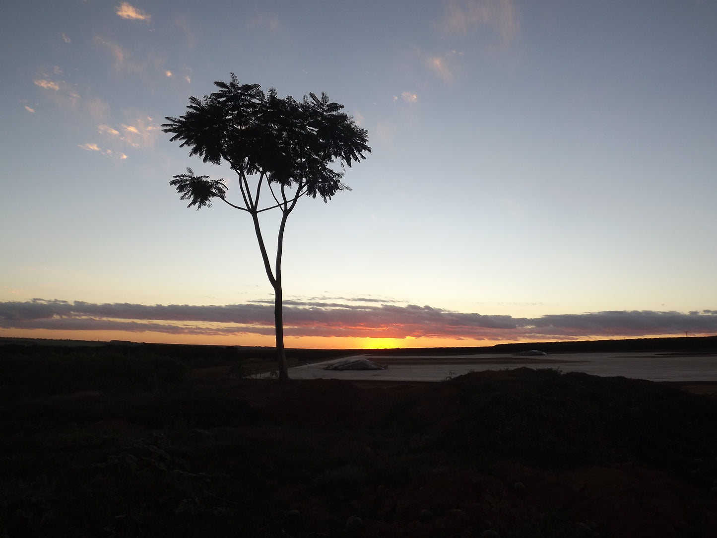 Fazenda Pantano