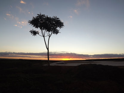Fazenda Pantano