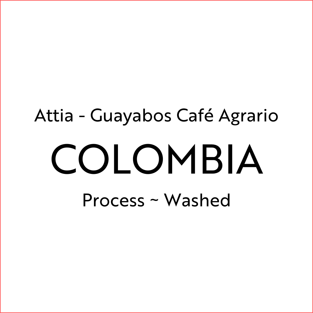 Attia - Guayabos Café Agrario
