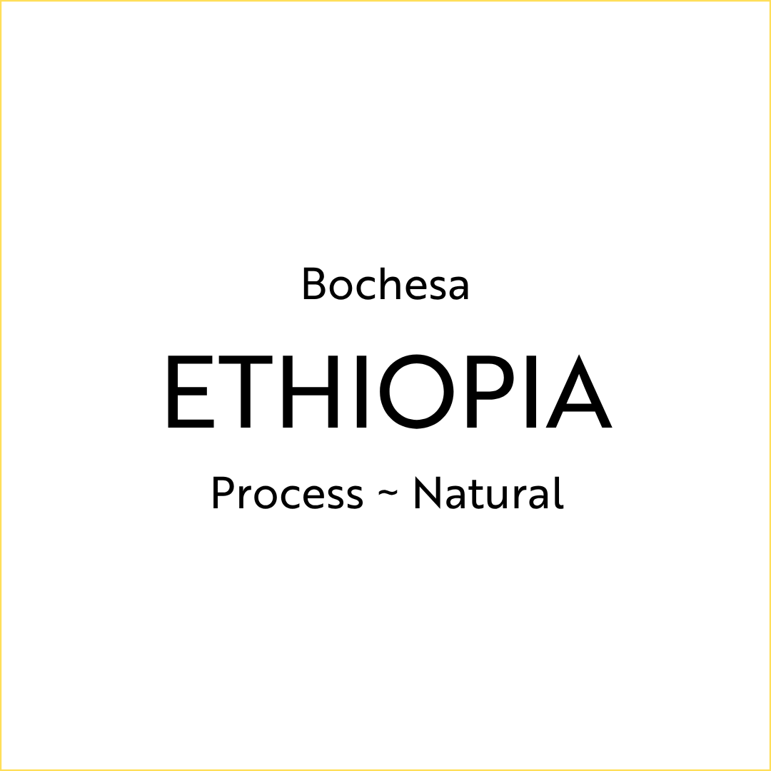 Bochesa