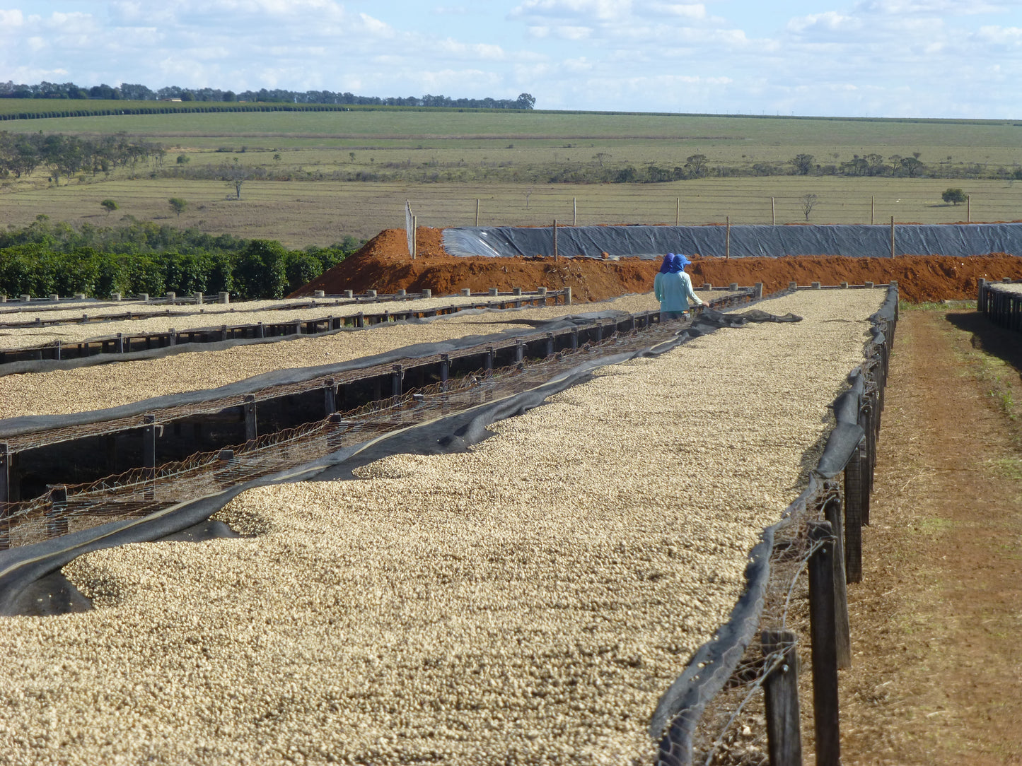 Fazenda Pantano